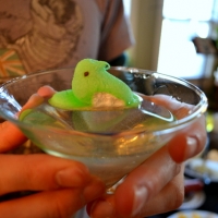 DSC_0121.JPG